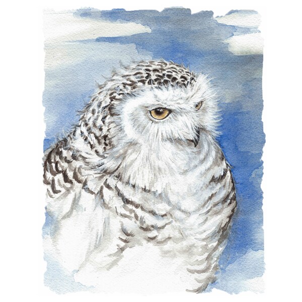 Watercolor Snowy Owl Bird Art