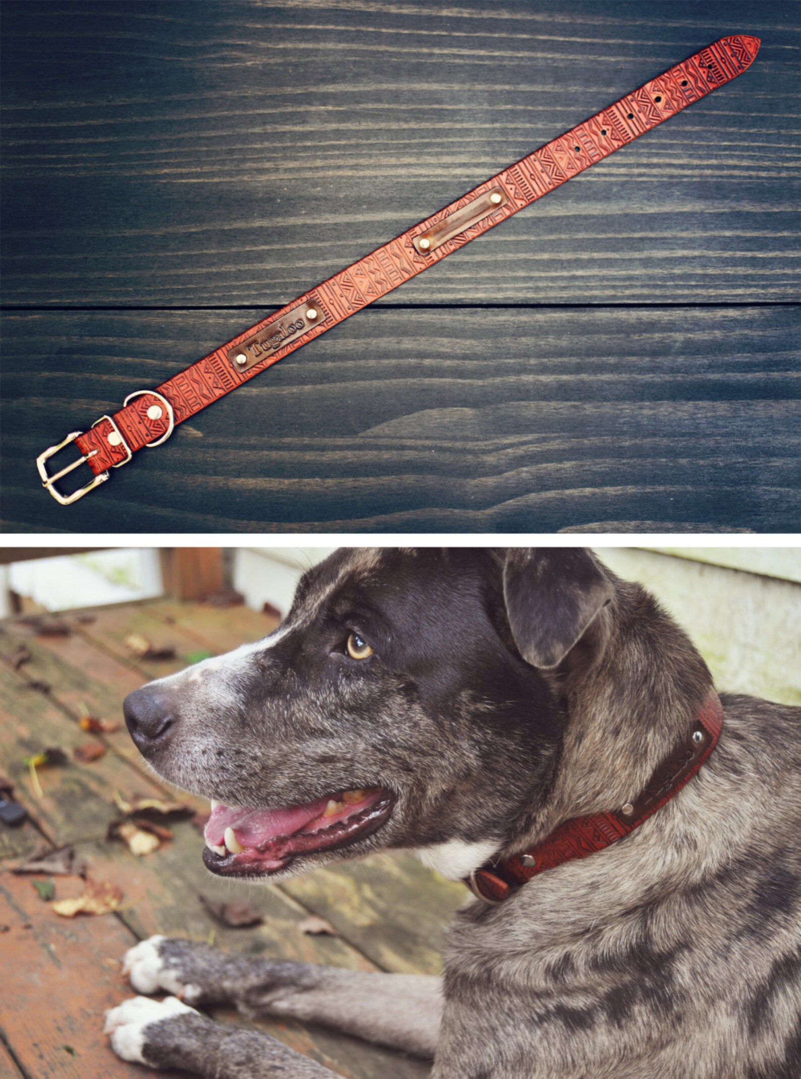 Personalized Leather Dog Collar Custom Leather Dog Collar Etsy