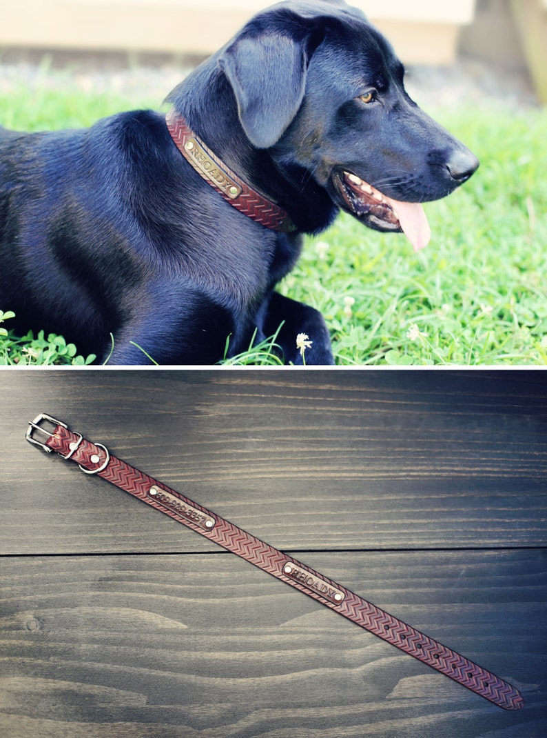 Personalized Leather Dog Collar Custom Leather Dog Collar Etsy
