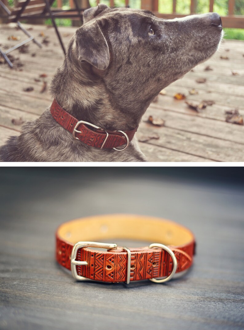 Personalized Leather Dog Collar Custom Leather Dog Collar Etsy