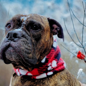 Handmade Buffalo Plaid Fleece Dog Scarf: Winter Paw Print Infinity Scarf