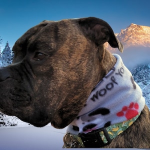 Valentine&#39;s Day Cute, Warm, and Soft &quot;I Woof You&quot; printed Fleece Winter Dog Scarf/Infinity Scarf Over the Collar FREE SHIPPING