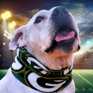 Handmade Green Bay Packers Fleece Dog Scarf: Warm Winter Infinity Scarf
