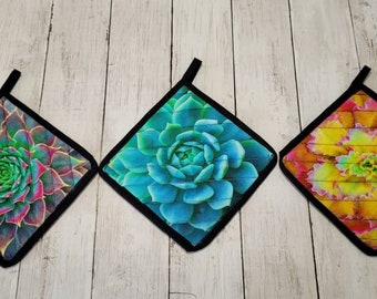 Handmade Quilted Succulent Pot Holder: Desert Sunset Trivet (7x7 inch)