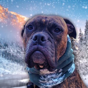 Handmade Fleece Dog Infinity Scarf: Evergreen Print Winter Scarf