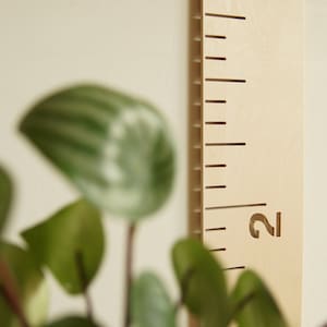 Peut inclure: Un tableau de croissance en bois avec une règle et les chiffres 2 et 3. Le tableau est monté sur un mur avec une plante au premier plan.