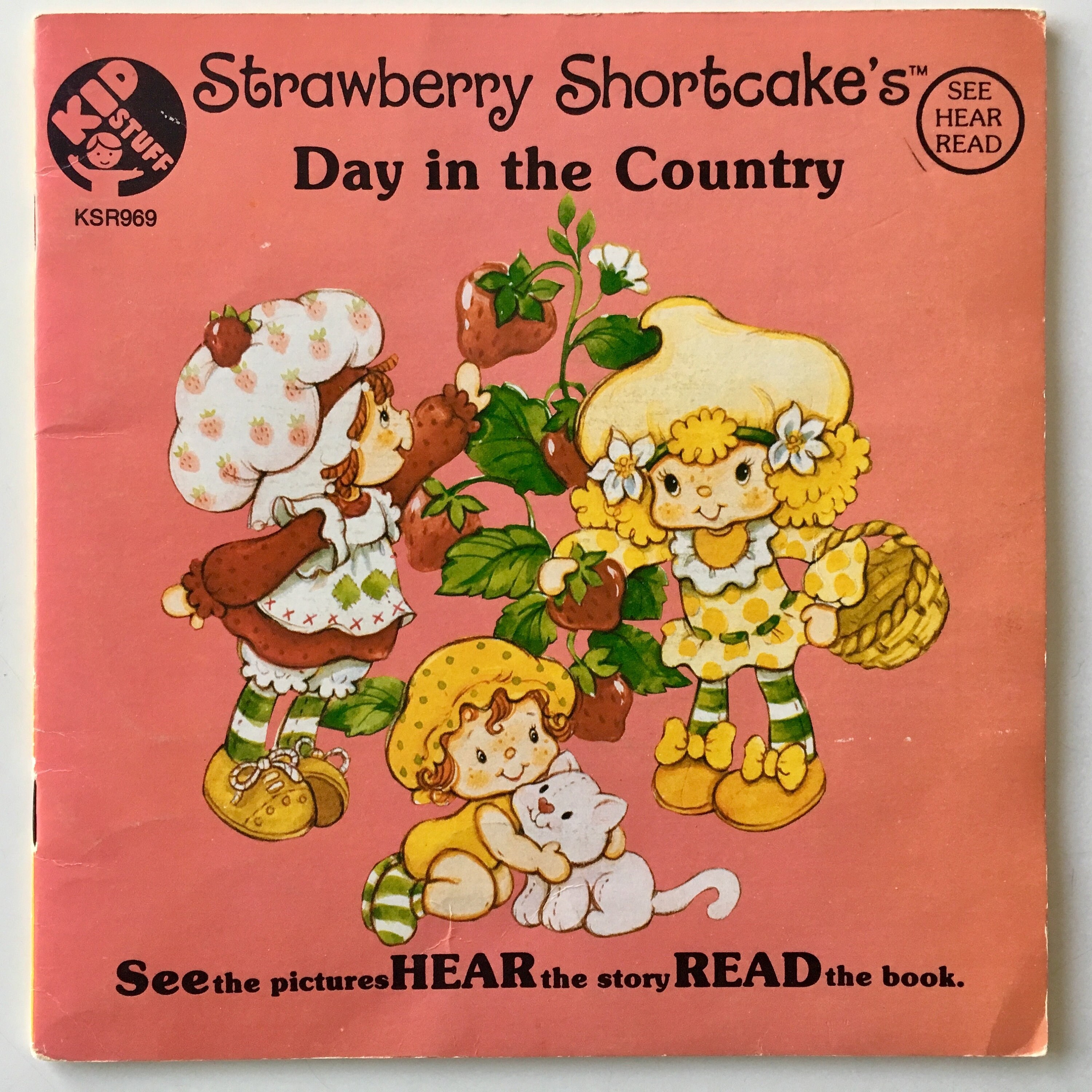 Strawberry Shortcake S Day In The Country 7 Vinyl Etsy
