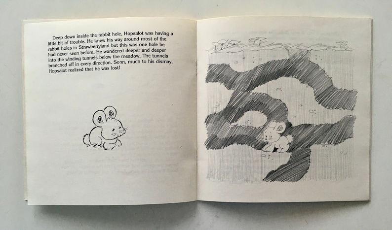 Hopsalot Rabbit Strawberry Shortcake - Apricot & Hopsalot 7' Vinyl Record / Book, Kid ...
