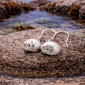 Sterling Silver Whelk Shell Drop Earrings: Handmade in Scotland.