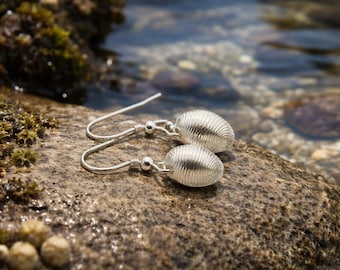 Pendientes colgantes de concha marina en plata de ley.