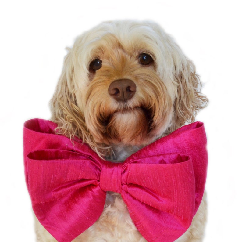 Pink Bow Tie Collar Big Dog Bow Oversized bow Birthday Bow Etsy