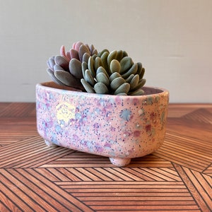 May include: A pink ceramic planter with a speckled pattern and gold accents. The planter has four small feet and is filled with a succulent plant.