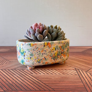 May include: A ceramic planter with a speckled design in shades of blue, yellow, and orange, holding two succulents. The planter has a rectangular shape with rounded edges and small feet. The succulents have a dusty rose and green hue.