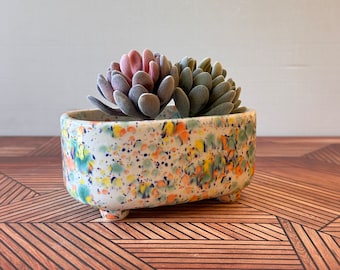 Rectangular Ceramic Succulent Planter Pot 6" , fruity freckels