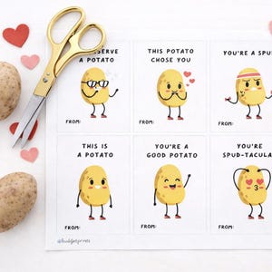 以下が含まれることがあります： 「Serve a Potato」や「You're a Spud-tacular」などのフレーズが書かれた、ジャガイモをテーマにした6枚のイラスト入りカード。ジャガイモ、赤とピンクのハート型の切り抜き、金色のハサミが添えられています。