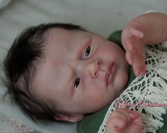 will by natalie scholl