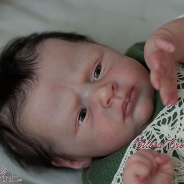 Reborn Baby Belly Plates Etsy