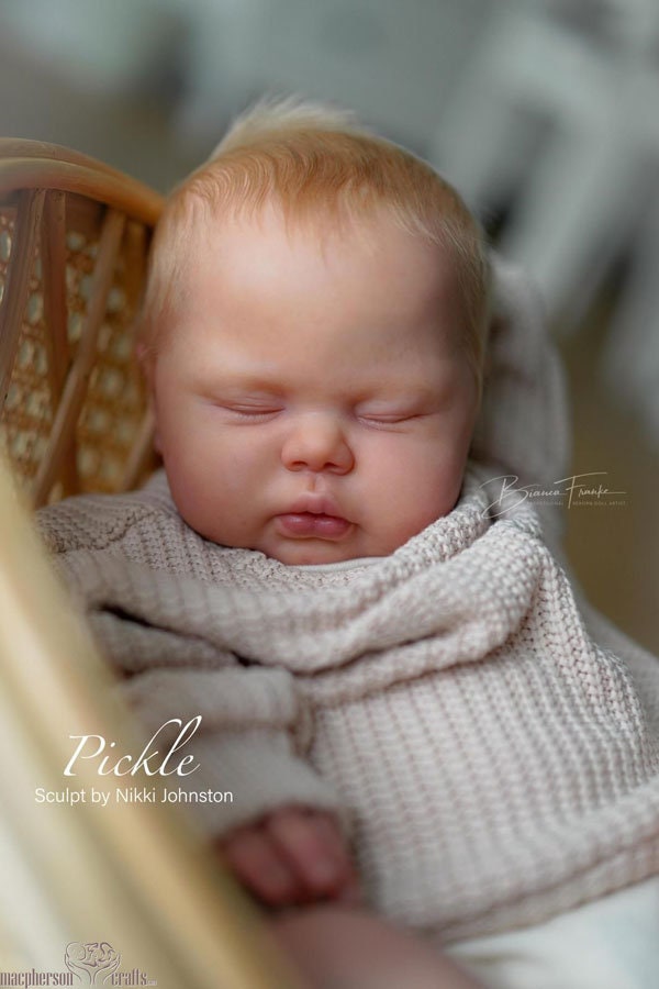 【リボーンドール】 PICKLE Reborn Baby PICKLE by Jackie Joly With Full Limbs, Chunky Baby at