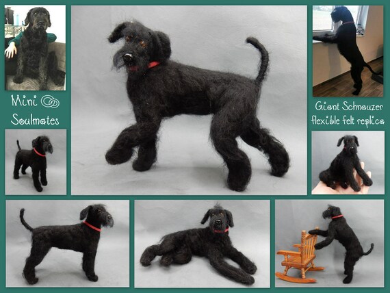 Fox terrier cheap schnauzer