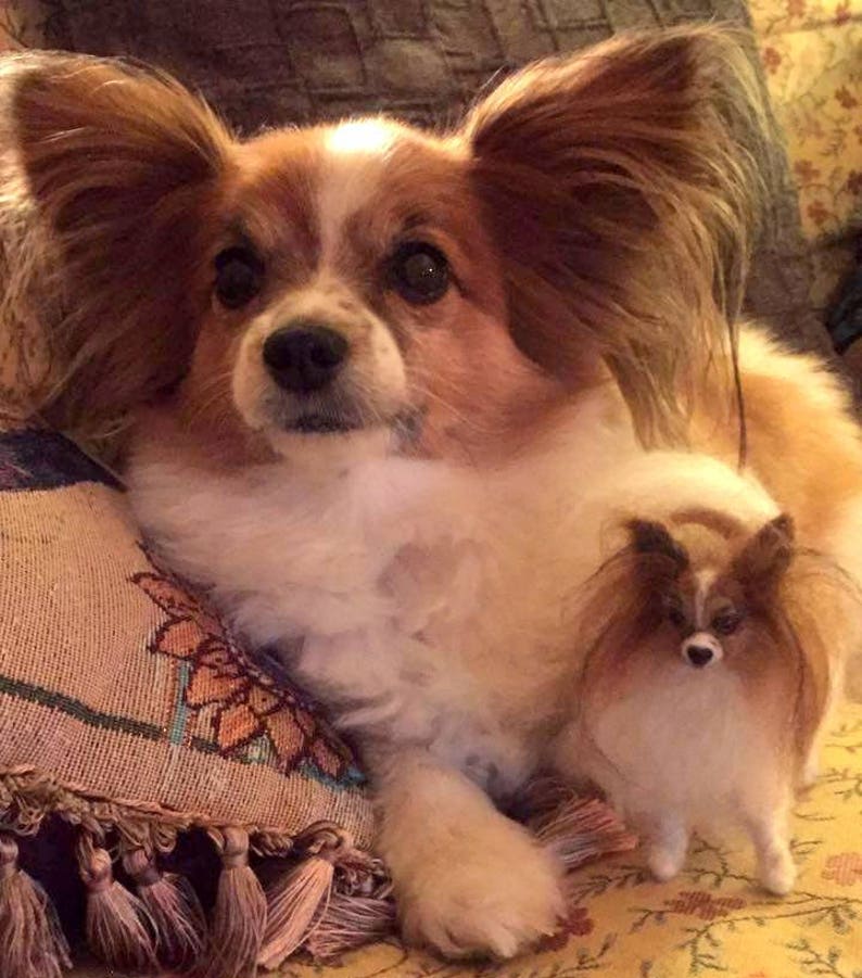 Papillon needle felted dog miniature custom felted dog replica custom dog loss memorial gift idea dog soft sculpture pet portrait from photo image 9