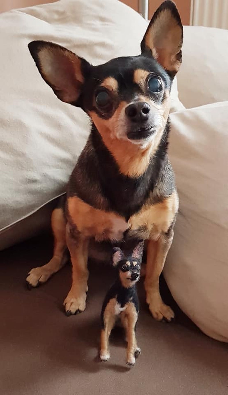 Prager Rattler nadelgefilzter Hund Hundeandenken Tierporträt Etsy