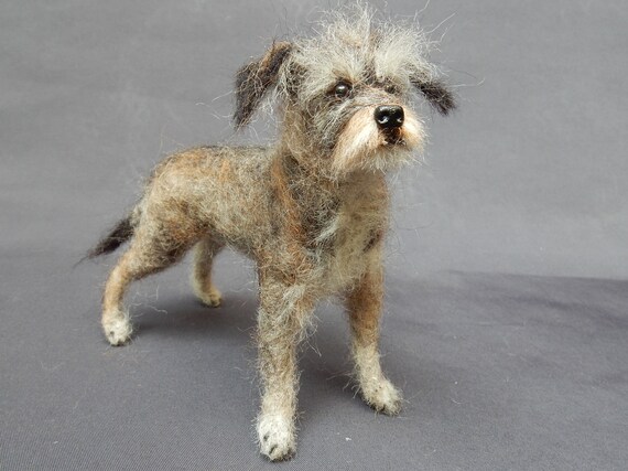 miniature irish terrier