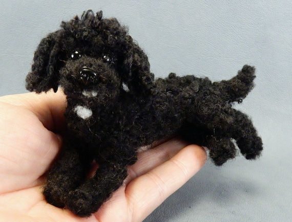 miniature black poodle