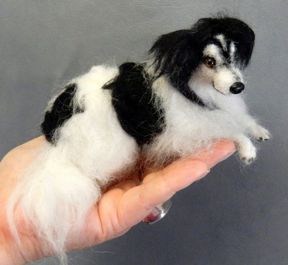 miniature border collie