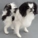 see more listings in the Small dogs replicas section