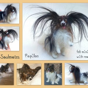 Papillon needle felted dog miniature custom felted dog replica custom dog loss memorial gift idea dog soft sculpture pet portrait from photo image 6