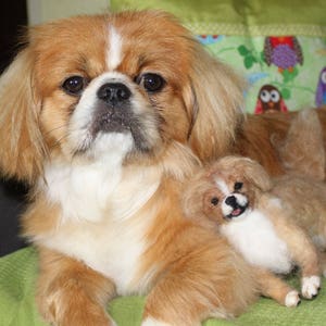 Pekingese needle felted dog Japanese Chin custom dog miniature toy dog replica custom felted dog lap dog soft sculpture dog loss remembrance image 10