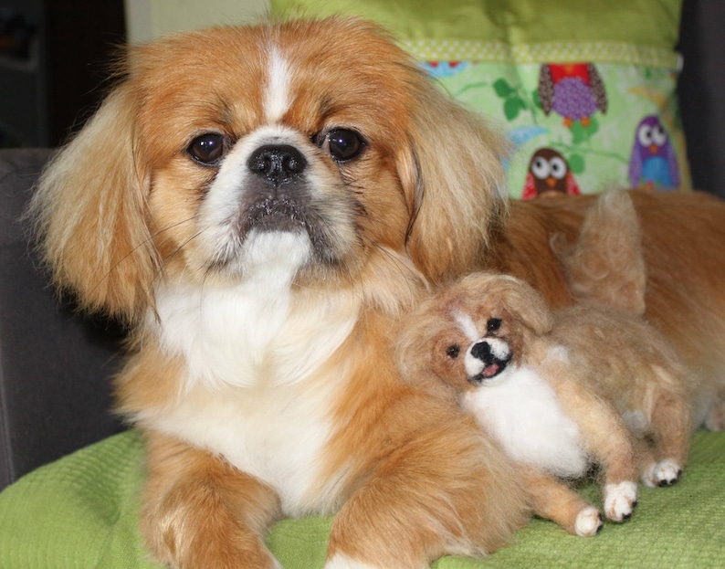 Pekingese needle felted dog Japanese Chin custom dog miniature toy dog replica custom felted dog lap dog soft sculpture dog loss remembrance image 10