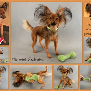 Needle felted dog Russkiy Toy Terrier custom dog replica Russian Toy Terrier soft sculpture felted dog miniature dog lover gift memento gift image 6