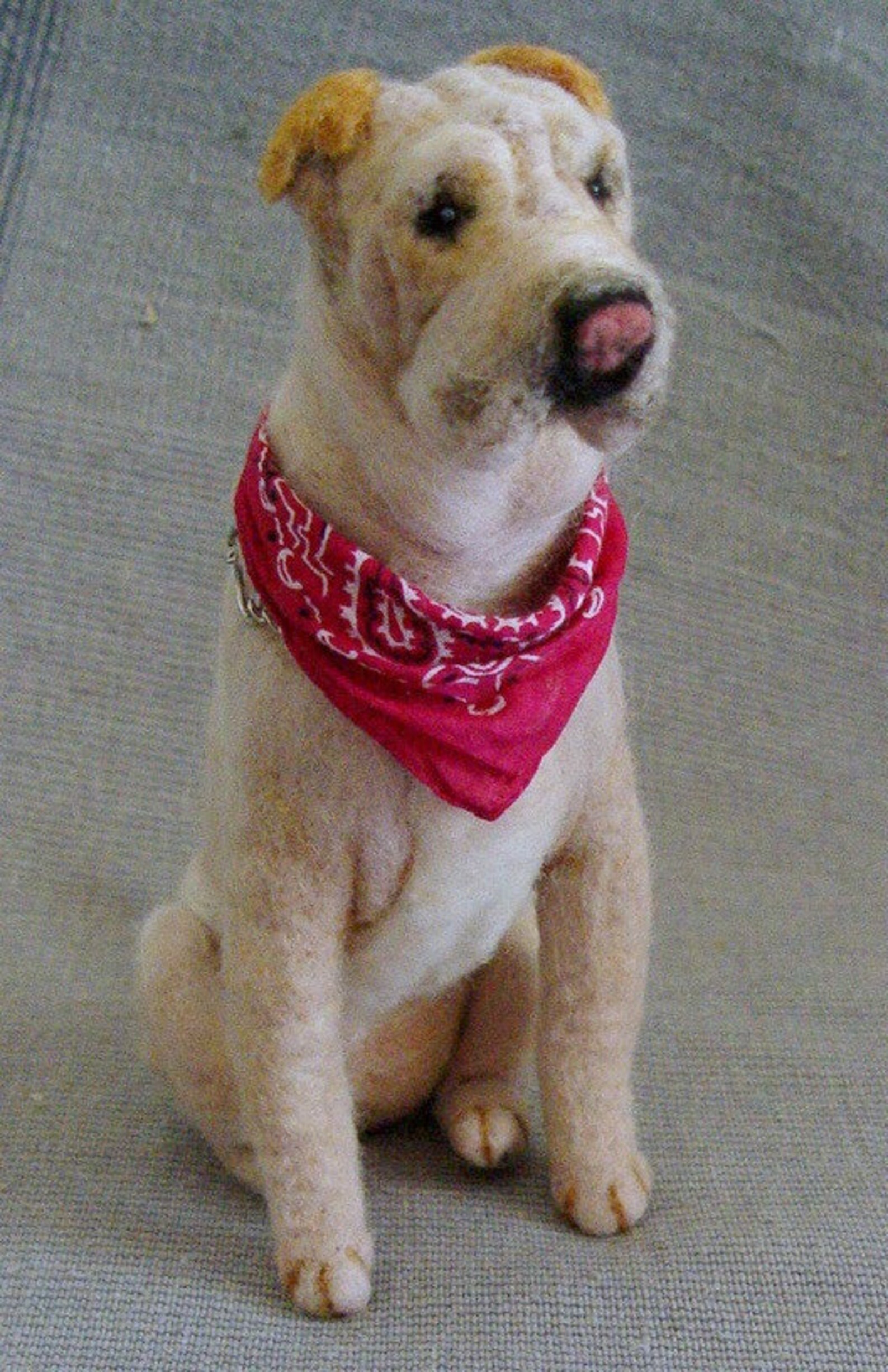 Shar Pei nadelgefilzte Hundereplik Filzminiatur von Fotos Etsy