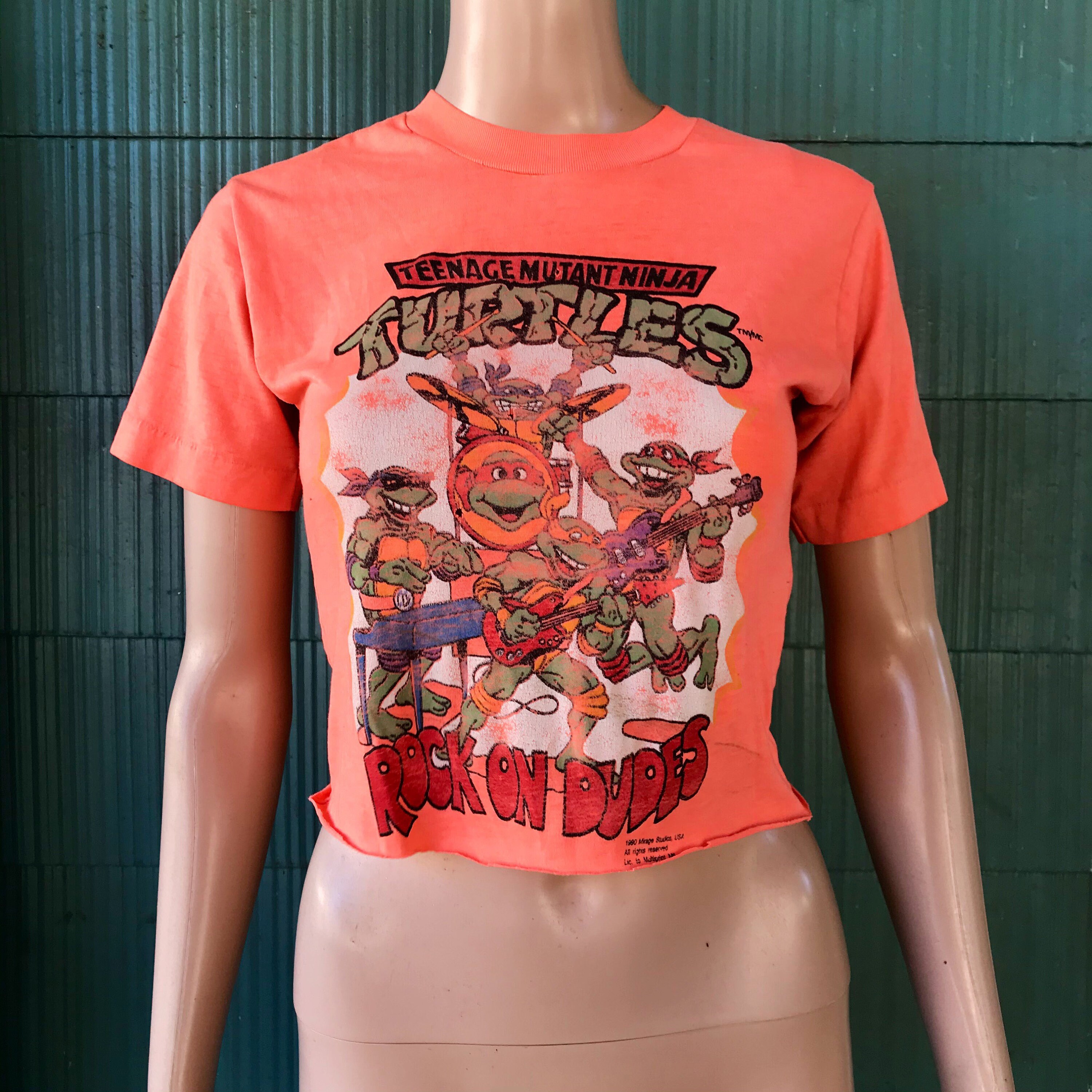 Vintage 1990 Perfectly Altered and Distressed Teenage Mutant