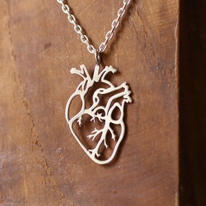 Heart Anatomy Silver Pendant Human Organ jewellery Handcut pendant for her Biology jewelry Heart necklace Gift for Doctor's Jewelry Craft image 5