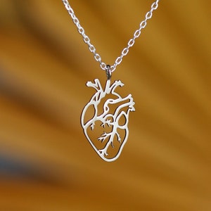 Heart Anatomy Silver Pendant Human Organ jewellery Handcut pendant for her Biology jewelry Heart necklace Gift for Doctor's Jewelry Craft image 6