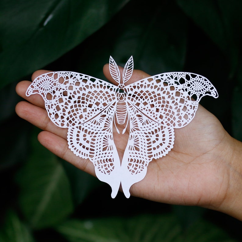 Butterfly Papercut Template, Moth Papercutting, Paper cut Art, Digital download, Handmade Gift, Paper Art craft, Butterfly Gift, Butterflies image 2