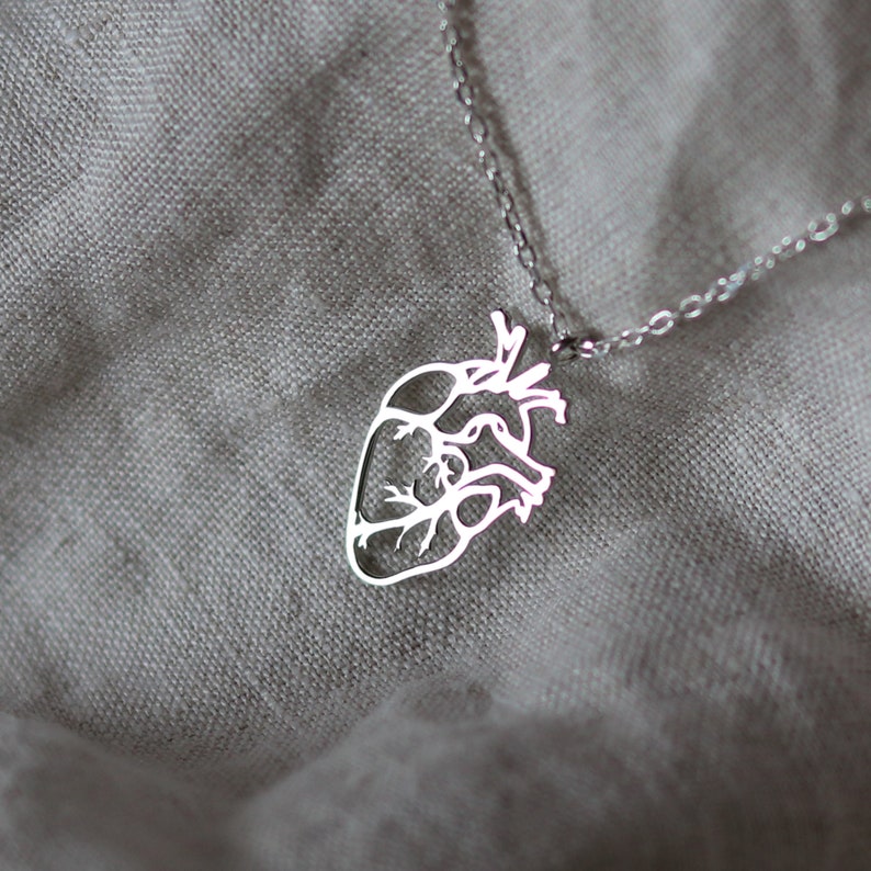 Heart Anatomy Silver Pendant Human Organ jewellery Handcut pendant for her Biology jewelry Heart necklace Gift for Doctor's Jewelry Craft image 3
