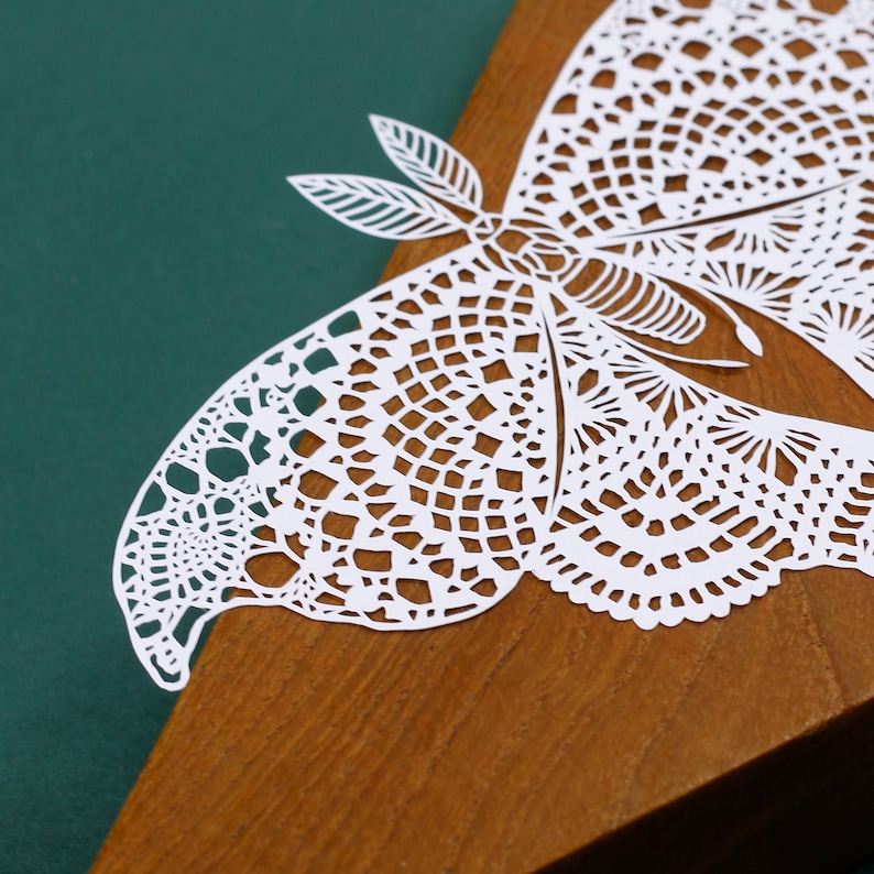 Butterfly Papercut Template, Moth Papercutting, Paper cut Art, Digital download, Handmade Gift, Paper Art craft, Butterfly Gift, Butterflies image 3