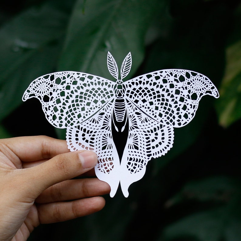 Butterfly Papercut Template, Moth Papercutting, Paper cut Art, Digital download, Handmade Gift, Paper Art craft, Butterfly Gift, Butterflies image 1