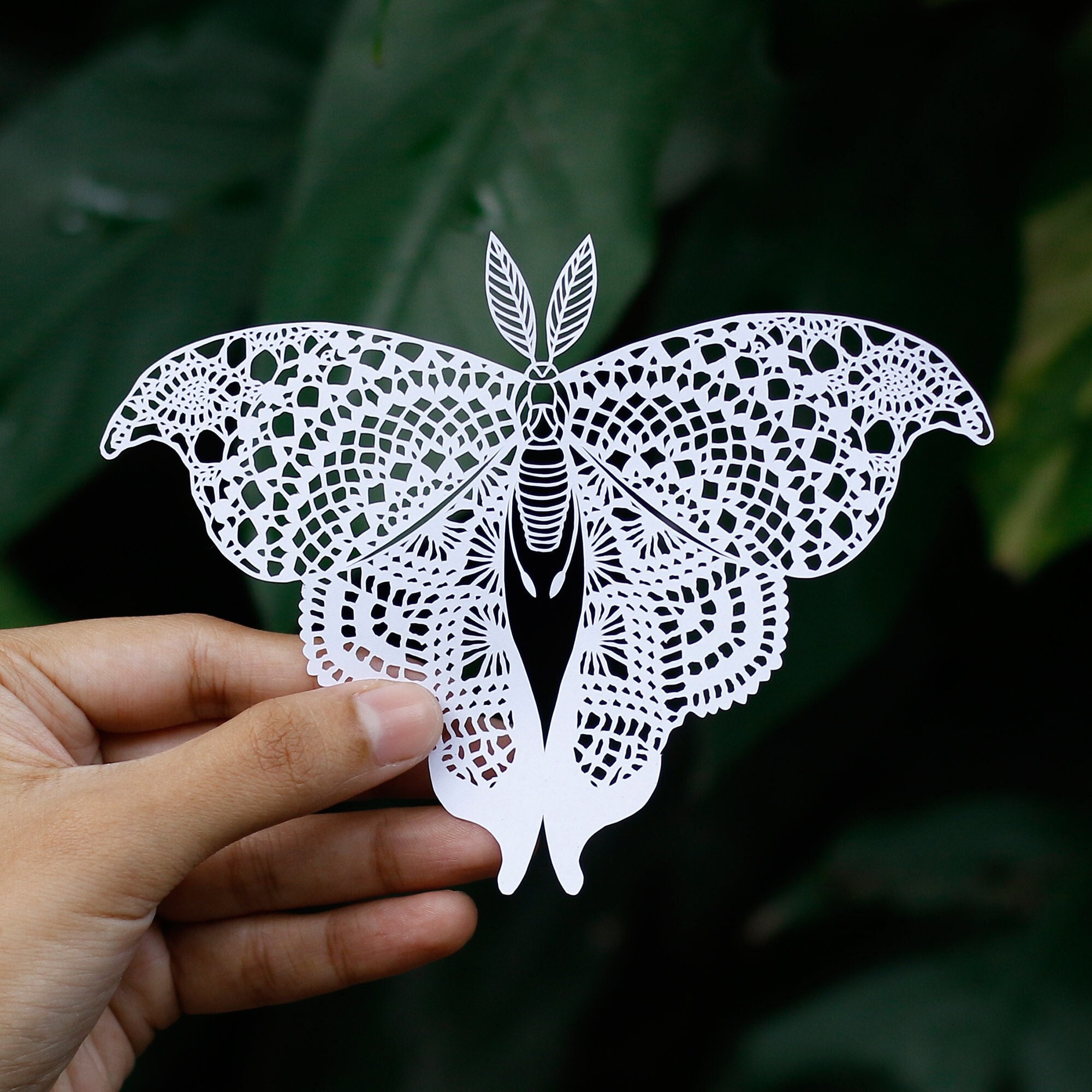 Butterfly Papercut Template, Moth Papercutting, Paper Cut Art, Digital  Download, Handmade Gift, Paper Art Craft, Butterfly Gift, Butterflies -   Canada