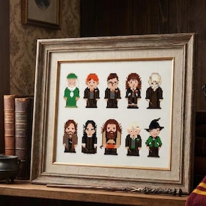 Op de afbeelding: Een ingelijste kruissteekkunst met gepixelde personages uit een fantasieserie. De personages zijn in een raster gerangschikt, elk met duidelijke kenmerken en kleuren. De lijst is lichtbruin en het kunstwerk wordt tentoongesteld op een houten plank met boeken.