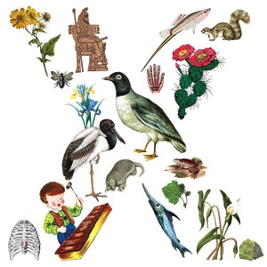 Monograma X, Arte infantil con alfabeto, Inicial X, Impresión del alfabeto, Regalo para bebé niño, Imprimible digital, Letra X, Decoración con monograma, Regalo personalizado