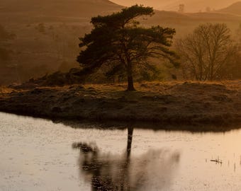 Lake District Photo Print – Lone Tree Reflection, Sunset Landscape