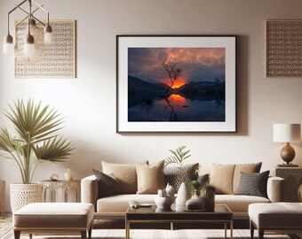 Lonley Tree Sunrise Print – Wales Landscape Photography