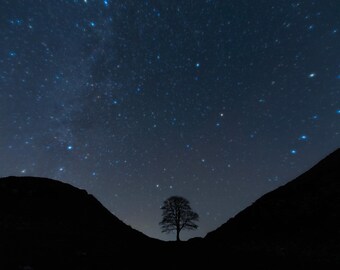 Sycamore Gap Starry Sky Photography Print - Northumberland, UK