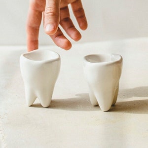 Keramik Zahnarzt Geschenk Sake Glas, Zahn Schnaps Glas, Zahnarzt Assistentin Hygienist Arzt Geschenk, Büro Dekoration, Zahnstocher Halter (1 Tasse)