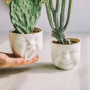 Succulent Pots Head Planter Ceramic Planter Face Planter Modern Ceramics Cactus Planter Cute Desk Accessories New Job Gift Living Room Decor image 1