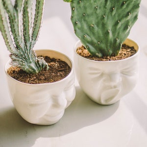 Succulent Pots Head Planter Ceramic Planter Face Planter Modern Ceramics Cactus Planter Cute Desk Accessories New Job Gift Living Room Decor image 2